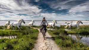Paysage hyper-réaliste de la Camargue sous le mistral, idéal à visiter à vélo, avec chevaux blancs et cycliste femme