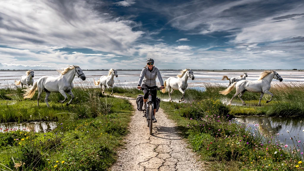 Paysage hyper-réaliste de la Camargue sous le mistral, idéal à visiter à vélo, avec chevaux blancs et cycliste femme